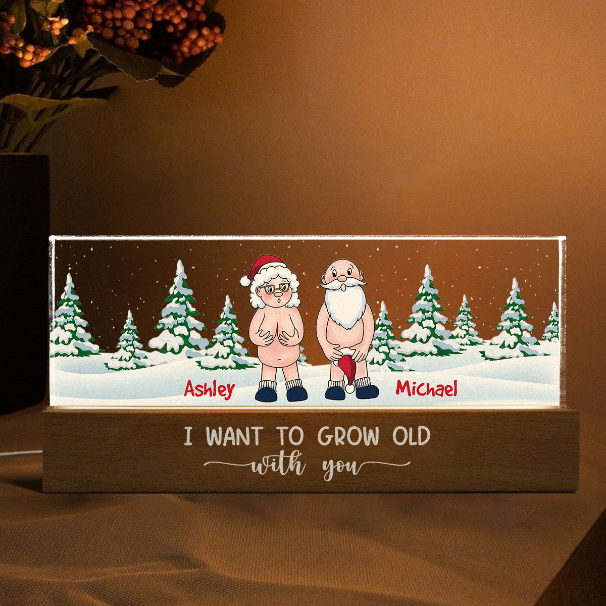 I Want To Grow Old With You Funny Christmas Couple Personalized Acrylic Block LED Night Light