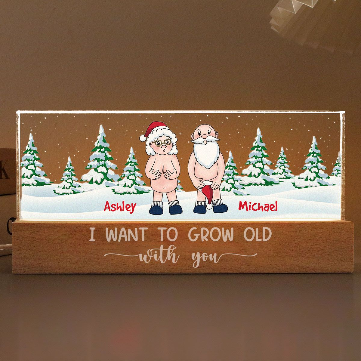 I Want To Grow Old With You Funny Christmas Couple Personalized Acrylic Block LED Night Light