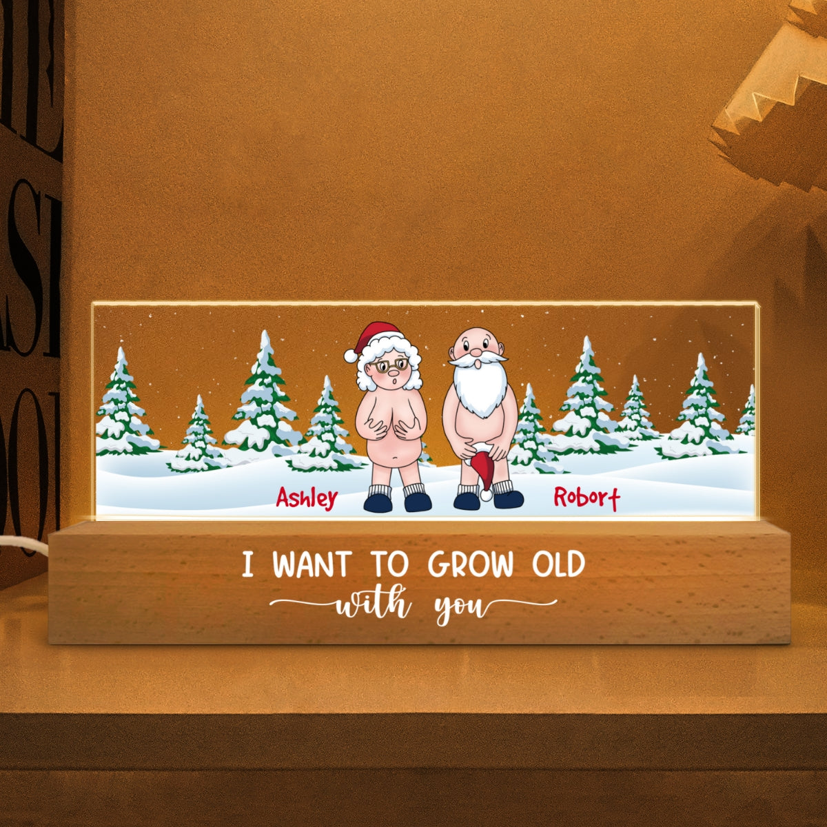 I Want To Grow Old With You Funny Christmas Couple Personalized Acrylic Block LED Night Light