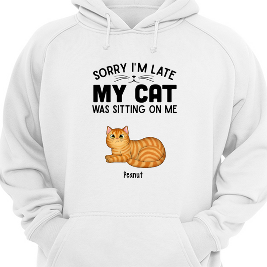 My Cat Sitting On Me Fluffy Cat Loaf Personalized Hoodie Sweatshirt