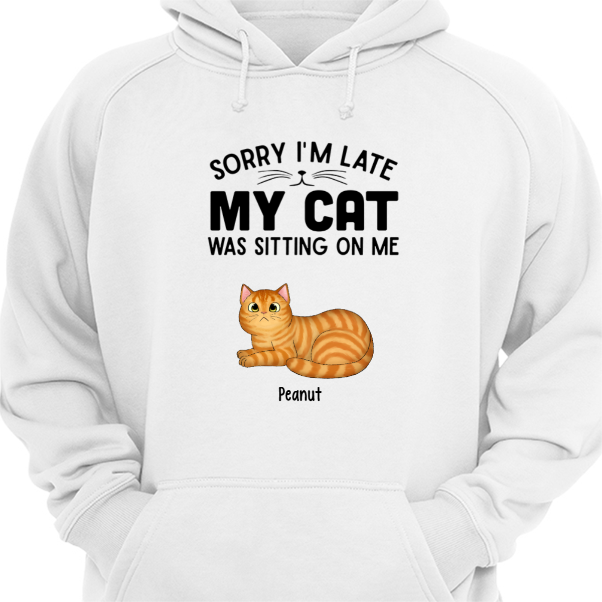 My Cat Sitting On Me Fluffy Cat Loaf Personalized Hoodie Sweatshirt