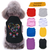 Colorful Dog Lovers Heart Paw Personalized Dog Clothes