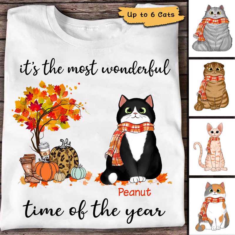 Most Wonderful Time Autumn Fluffy Cat Personalized Shirt