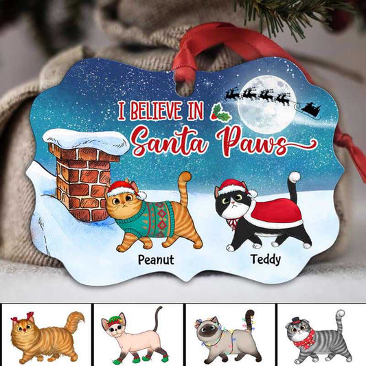 Believe In Santa Paws Fluffy Cat On Roof Personalized Christmas Ornament