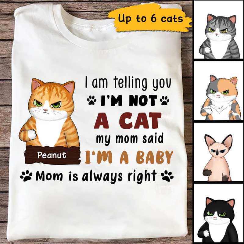 Telling You I‘m A Baby Grumpy Fluffy Cat Personalized Shirt