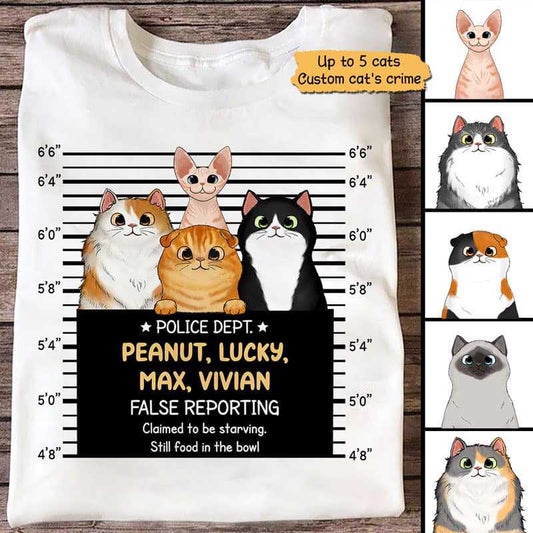 Fluffy Cat Crimes Personalized Shirt