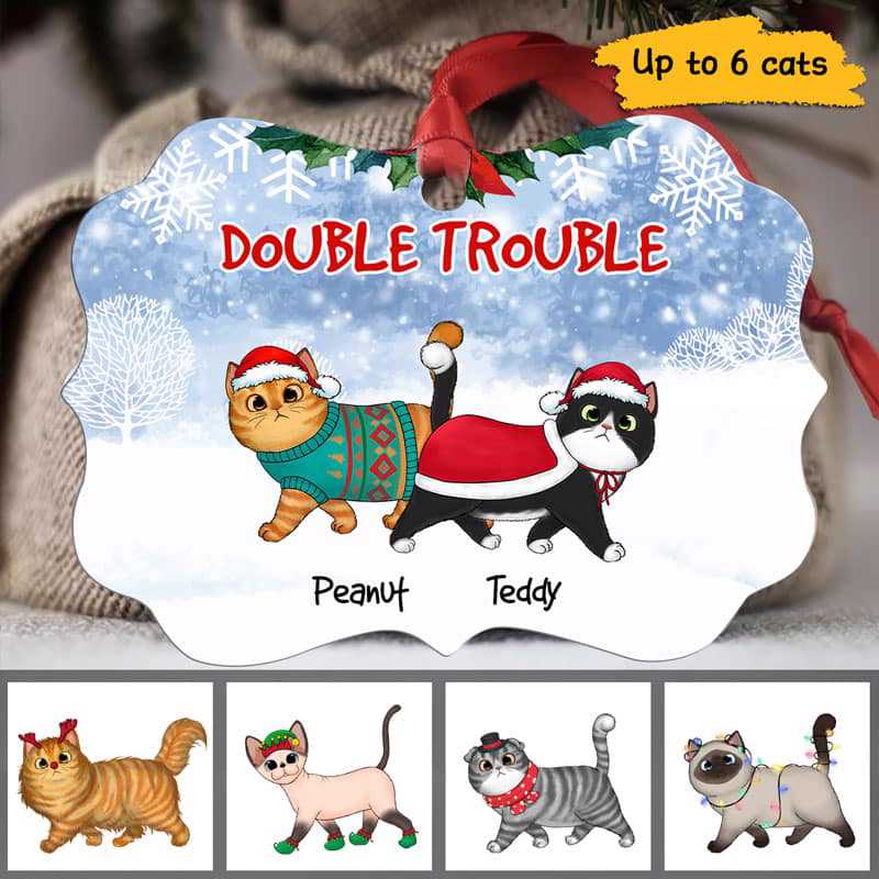 Double Trouble Fluffy Walking Cats Personalized Christmas Ornament