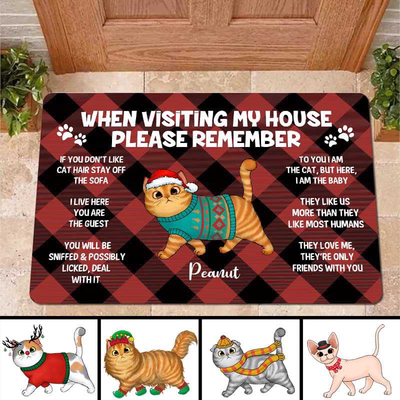 Remember When Visiting Our House Cats Personalized Doormat