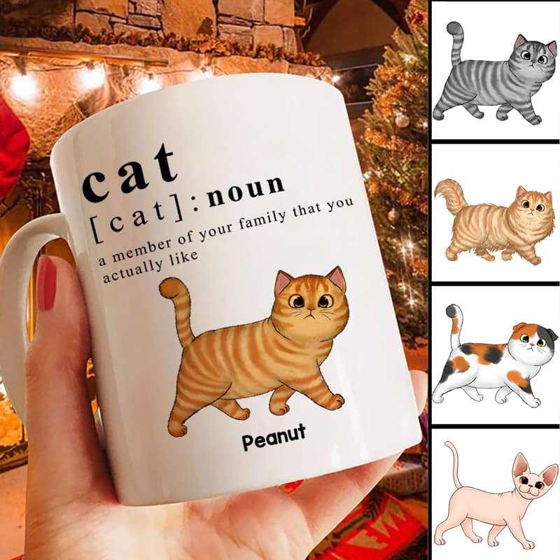 Cat Definition Fluffy Cats Personalized Mug