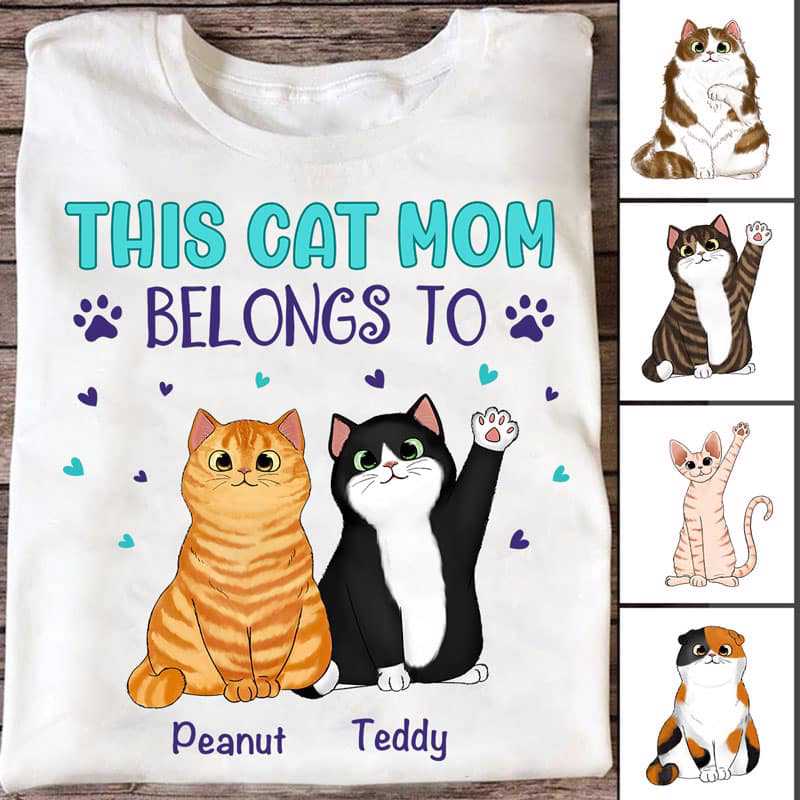 Belongs To Fluffy Sitting Cats Personalized Shirt