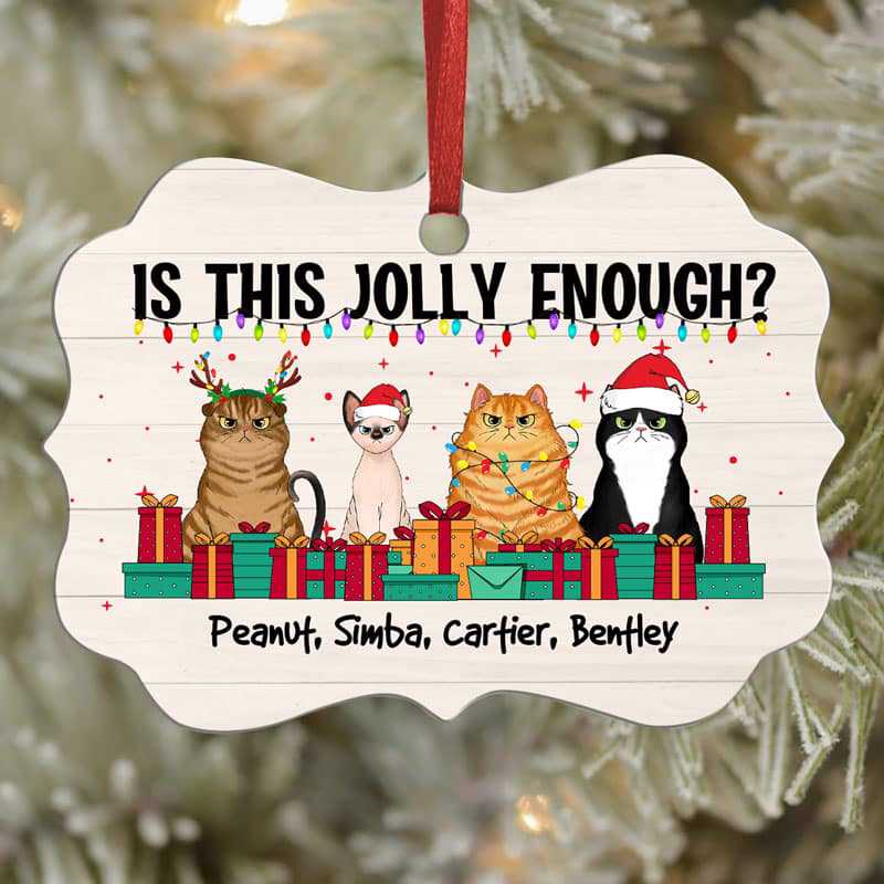 Is This Jolly Enough Fluffy Cats Personalized Christmas Ornament
