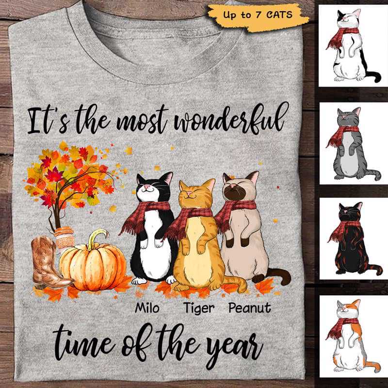 Fall Season Standing Cats Personalized Shirt