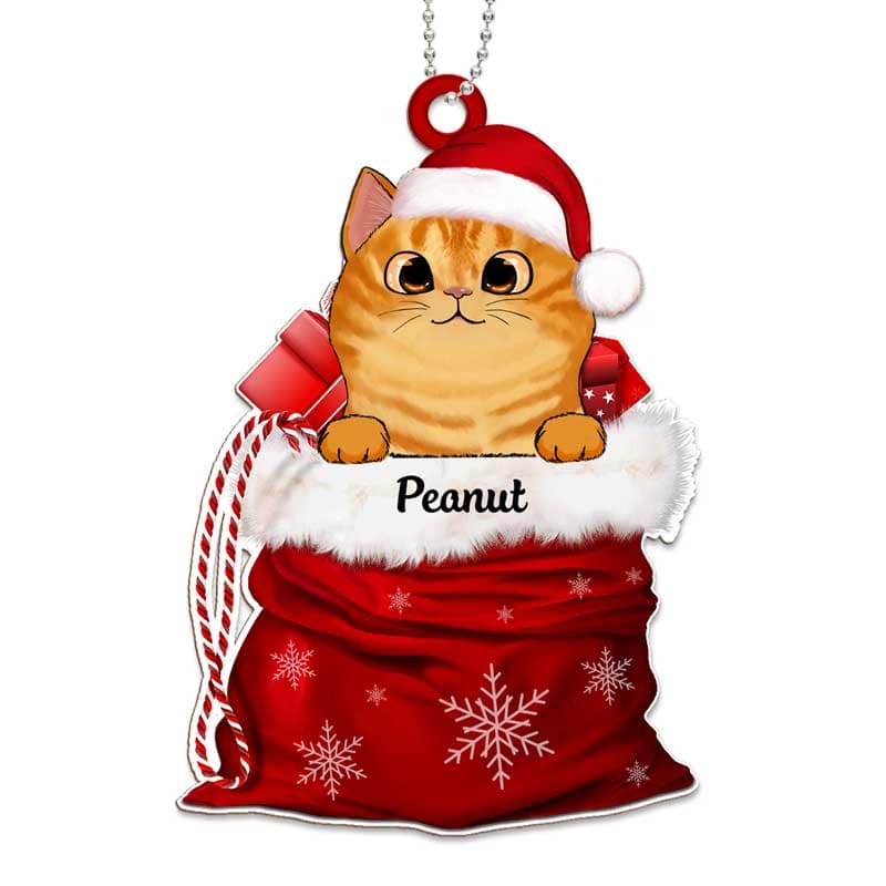 Peeking Cats In Christmas Gift Basket Personalized Metal Ornament