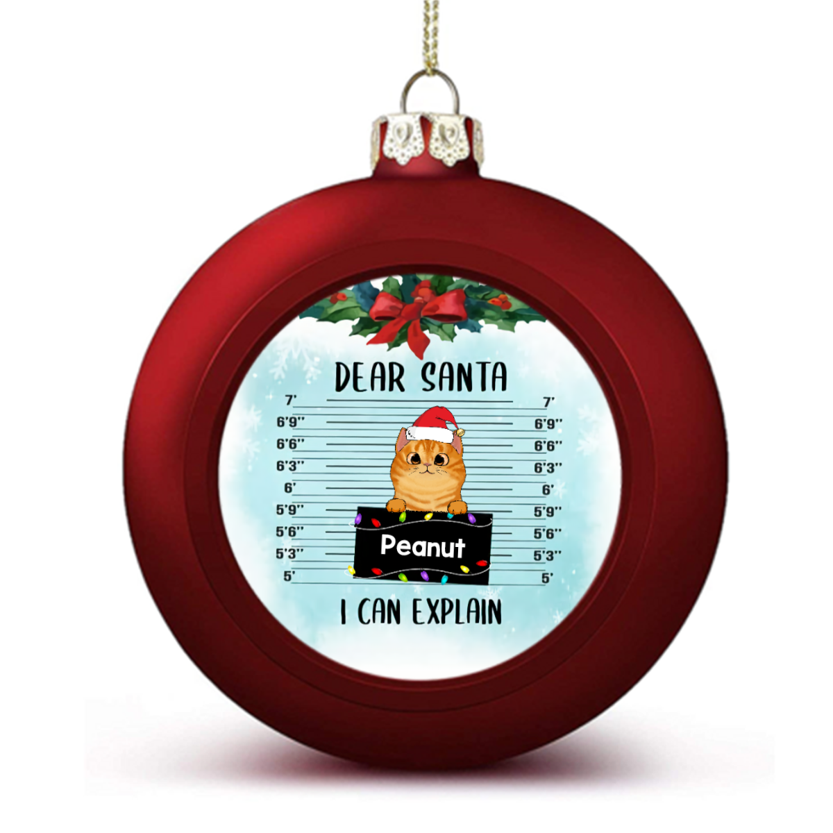 Christmas Dog Cat Mugshot I Can Explain Personalized Ball Ornaments