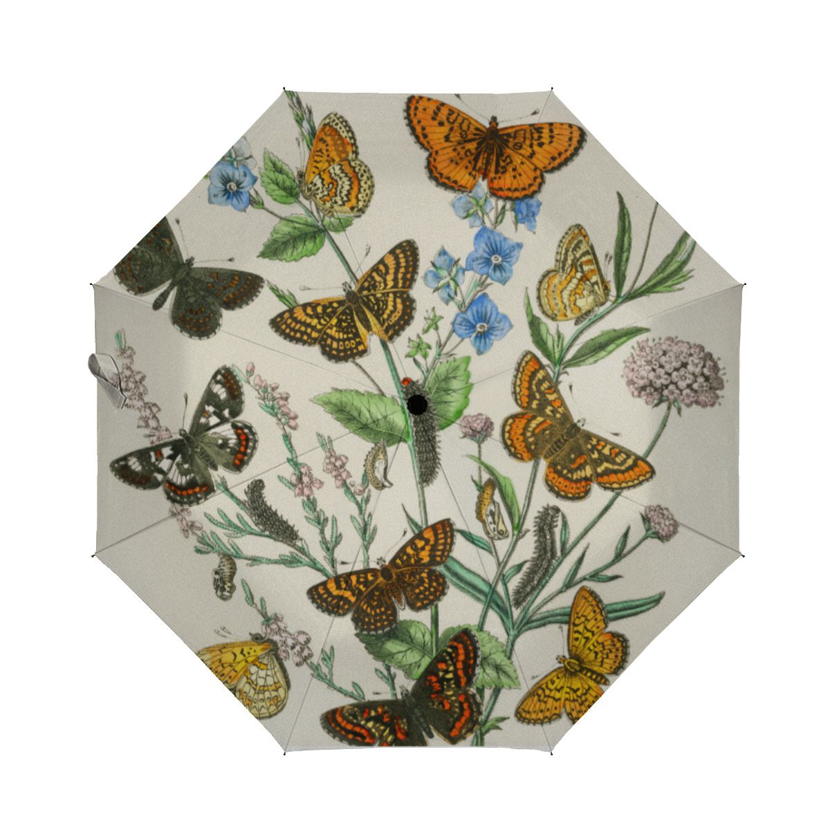 Butterflies And Flowers Vintage Illustration 1 Brushed Polyester Umbrella No.CUNKDN