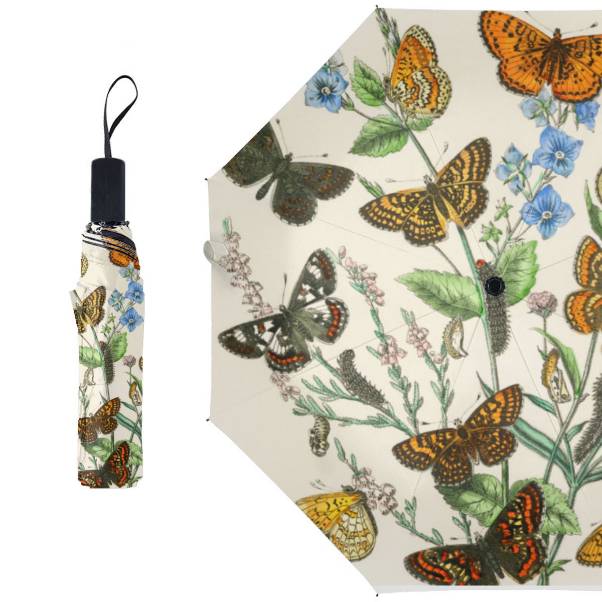 Butterflies And Flowers Vintage Illustration 1 Brushed Polyester Umbrella No.CUNKDN