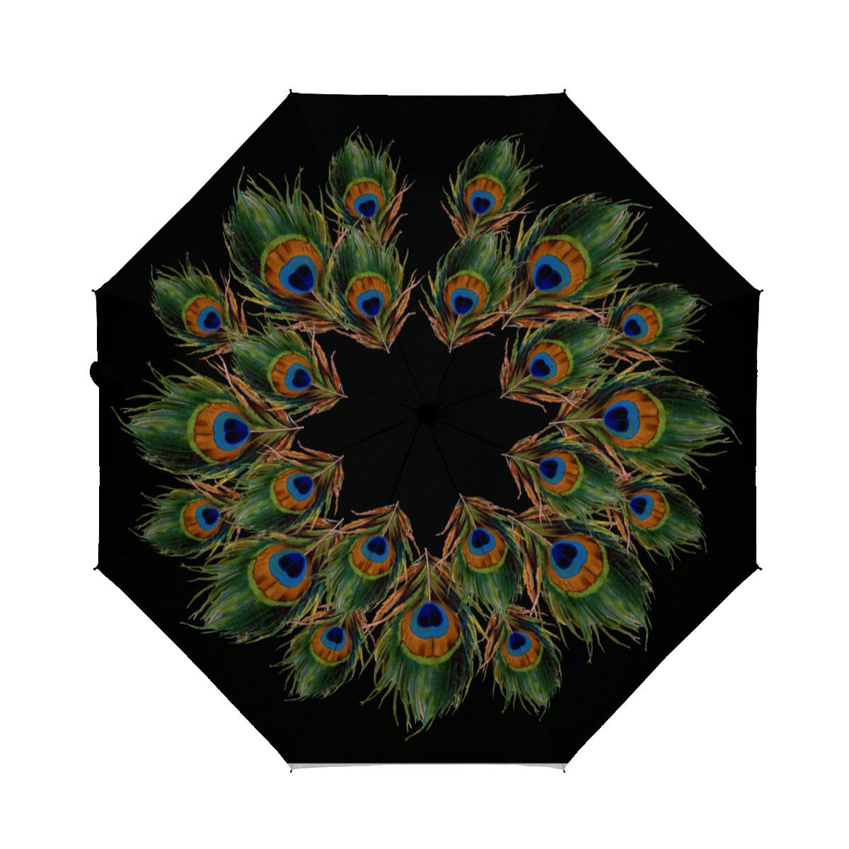 Peacock Feather Black Brushed Polyester Umbrella No.ODSHD5