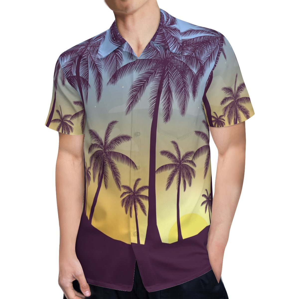 Hawaii Pattern 017 Hawaiian Shirts No.R639BM