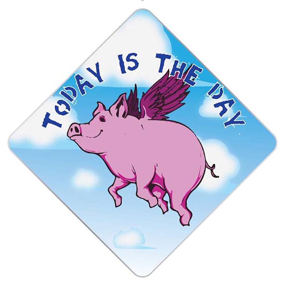 When Pigs Fly Grad Cap Tassel Topper