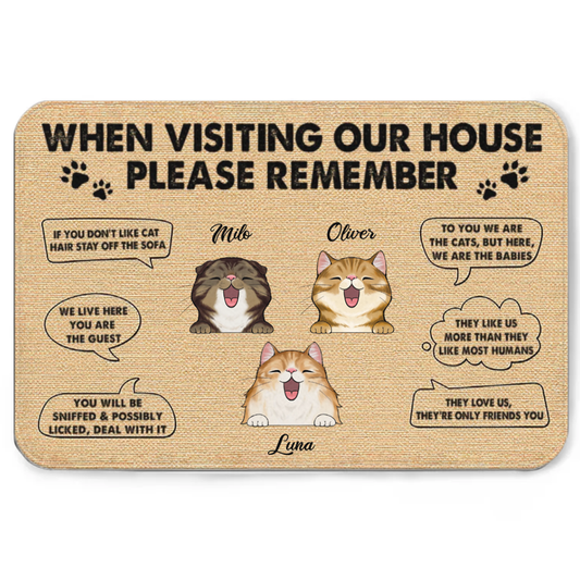 When Visiting My House - Gift For Cat Lovers - Personalized Custom Doormat