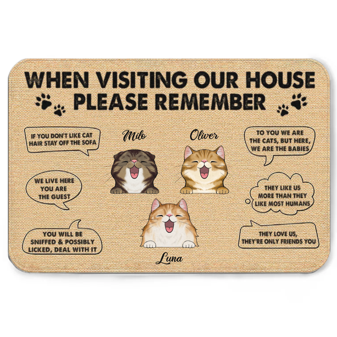 When Visiting My House - Gift For Cat Lovers - Personalized Custom Doormat