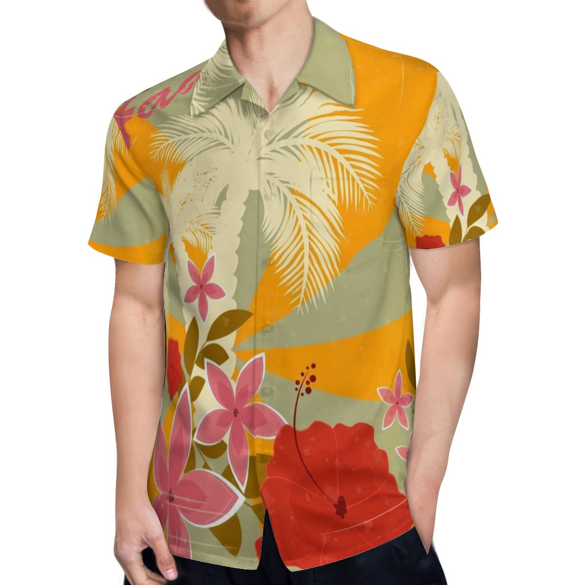 Hawaii Pattern 008 Hawaiian Shirts No.XDT75A